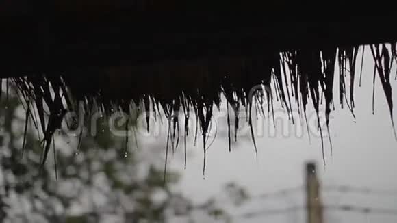 雨滴从草顶上掉下来视频的预览图