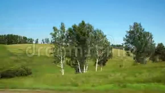 波夫沿着俄罗斯阿尔泰的青山和绿树前进视频的预览图