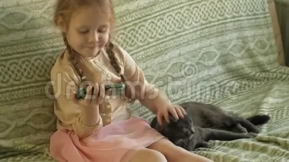 幸福的女孩金发和辫子坐在沙发上用电话抚摸着灰色的猫视频的预览图