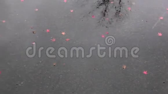 雨天视频的预览图