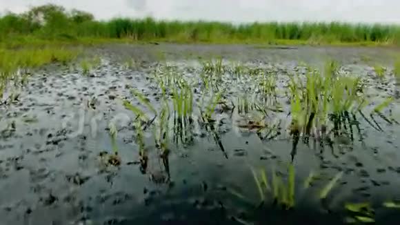 在湖上游泳电影院镜头视频的预览图