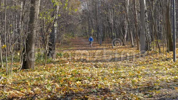 一个骑自行车的人骑在公园的一条小路上在一个美丽的阳光明媚的日子里视频的预览图