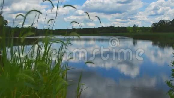 寂静的湖泊靠近绿色森林视频的预览图