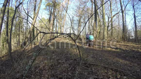 父亲在春天的森林小路上推婴儿马车4K视频的预览图
