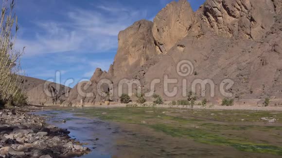 美丽的绿洲景观在绿洲德芬特附近的摩洛哥北非视频的预览图