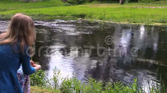 女孩坐在溪边扔着面包鸭一家阳光明媚的夏日视频的预览图
