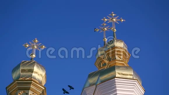 东正教的金色穹顶是两只鸟视频的预览图