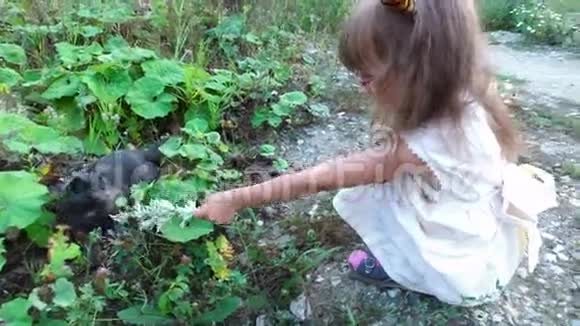 戴眼镜的女孩子在院子里和一只灰色的小猫玩耍一个小女孩喜欢和小猫玩视频的预览图