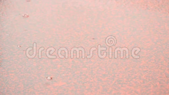 在校园体育场的跑道上下雨地上的水镜面水位下环形跑道红色纹理红色摩擦视频的预览图