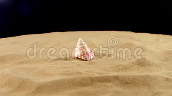 不寻常的粉红色海洋外壳背面有沙子视频的预览图