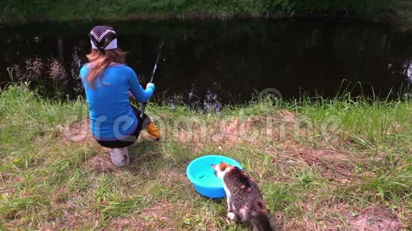 有爪的猫从碗里抓鱼女人在池塘里钓鱼视频的预览图
