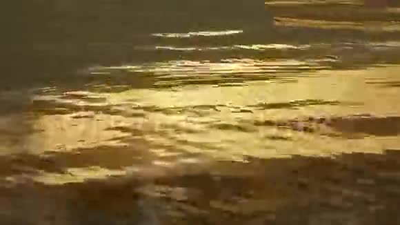 金色的水光视频的预览图