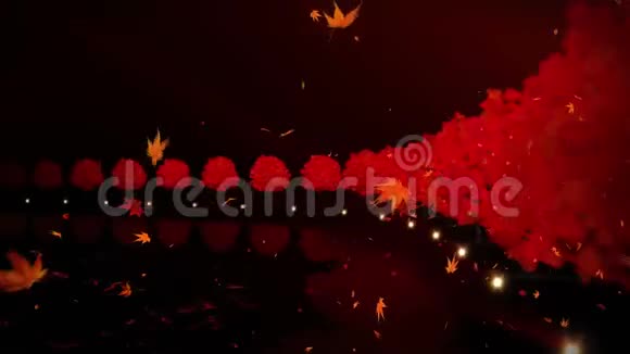夜晚湖边的秋叶树日本传统的夜景优美典雅循环动画视频的预览图