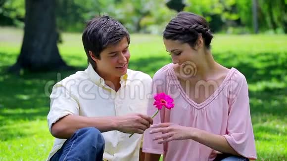 微笑的男人把粉红色的花送给他的女朋友视频的预览图