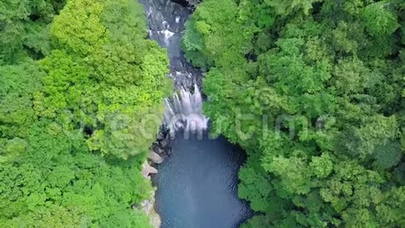 韩国济州岛上春叶瀑布鸟瞰图视频的预览图