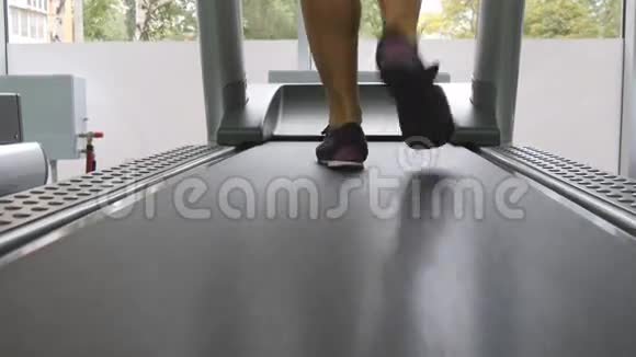女性在健身房跑步机上行走年轻女性在有氧运动中锻炼穿运动鞋的女孩脚视频的预览图