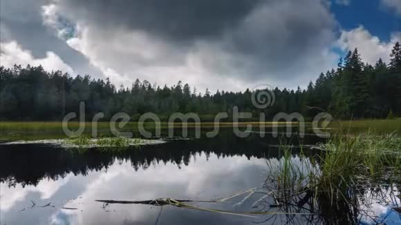 斯洛文尼亚波霍耶山背景的黑湖和沼泽森林视频的预览图