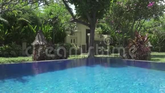 摄像机在一个热带花园上移动水池的长度一直是盛开的树木巴厘岛印度尼西亚视频的预览图