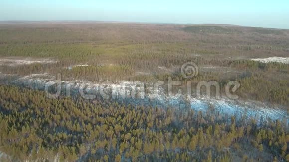北部冬林空中全景视频的预览图