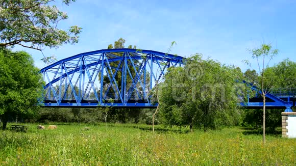横跨河流和草地的蓝色铁桥4K视频的预览图