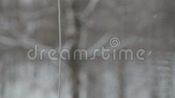 雪慢慢地落在模糊的背景上视频的预览图