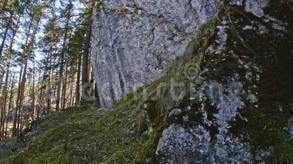 乌拉尔西伯利亚森林的岩石视频的预览图