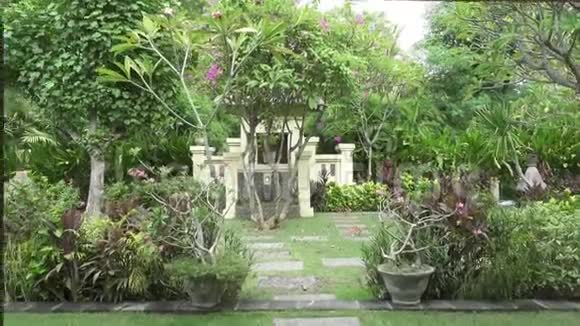 摄像机在一个热带花园上移动水池的长度一直是盛开的树木巴厘岛印度尼西亚视频的预览图