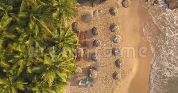 带棕榈树的热带海滩上浪漫的日落斯里兰卡无人机镜头视频的预览图