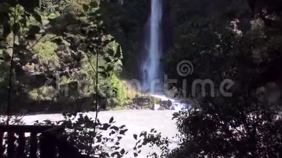 新西兰森林和山脉瀑布的动力水视频的预览图