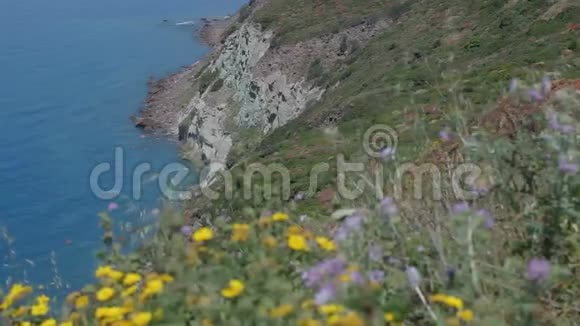 海岸线悬崖花卉阿尔赫罗博萨撒丁岛视频的预览图