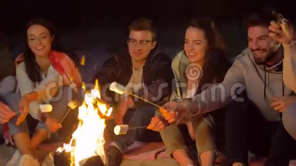 朋友们在海滩的篝火上烤棉花糖视频的预览图