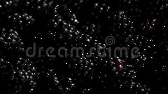 黑莓水果旋转白色的旋转关门视频的预览图