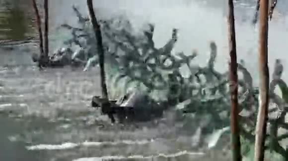 水轮机为鱼塘提供氧气PanZo射击视频的预览图