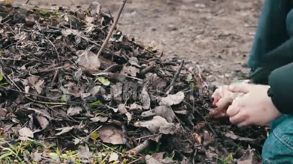 青少年用干燥的老叶子做篝火污染环境视频的预览图