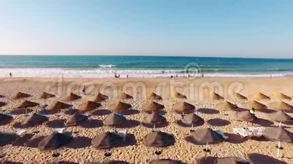 从高空俯瞰海滩上的太阳伞视频的预览图