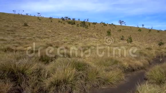 斯里兰卡霍顿平原国家公园全景视频的预览图