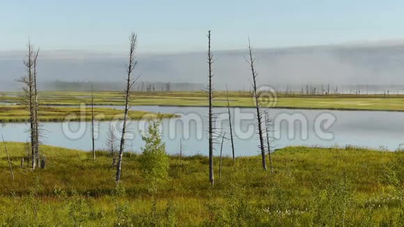 西伯利亚亚马尔半岛风景名胜区日出时雾消散时间视频的预览图