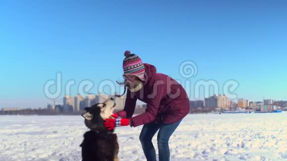 有魅力的年轻女子在冰冻的河流中以城市景观为背景与她的哈士奇狗玩耍视频的预览图