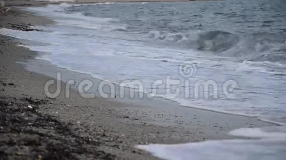 在海滩上翻滚的波浪视频的预览图