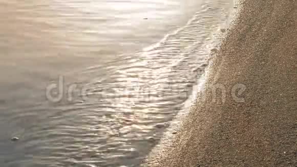 日落时海滨的金色水面视频的预览图