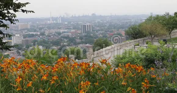 4K超高清汉密尔顿加拿大天际线与鲜花前景视频的预览图