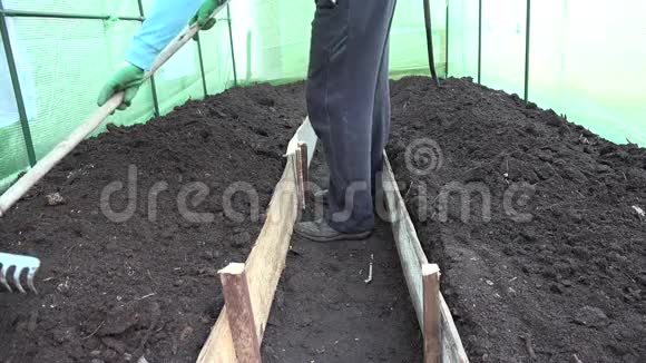 园丁用耙子工具在温室里准备土壤床4K视频的预览图