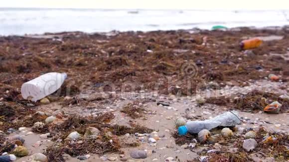 塑料瓶死蟹和其他碎片的藻类在沙滩上视频的预览图