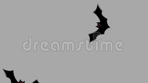 卡通万圣节蝙蝠飞过屏幕阿尔法频道视频的预览图