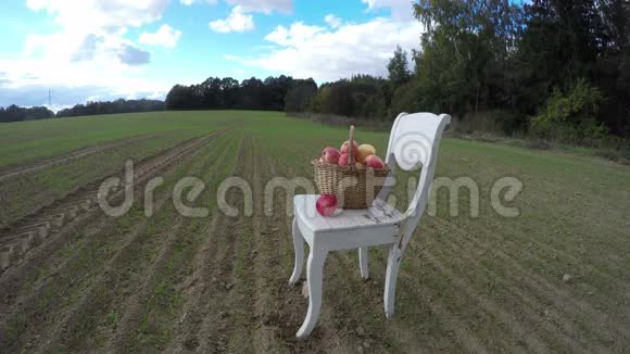 秋天农场里的白色古董木椅和满满的苹果篮子延时4K视频的预览图