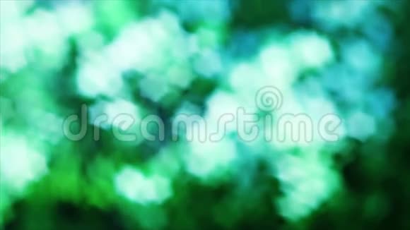 美丽的绿色自然观叶星形状的树视频的预览图