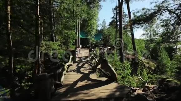 海岸森林中的木桥和木条夏天太阳光束慢动作视频的预览图