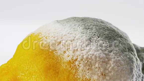 烂柠檬盖上的霉菌在白色旋转视频的预览图
