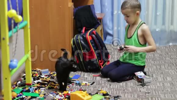 小孩和黑猫玩玩具视频的预览图