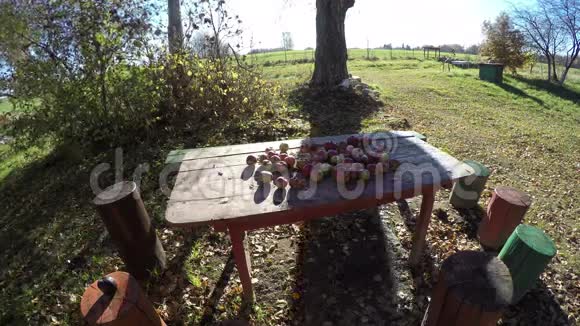 去年秋天农场里的花园桌子上有苹果阳光下有树影延时4K视频的预览图